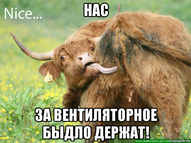 нас за вентиляторное быдло держат!