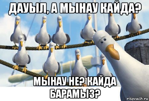 дауыл, а мынау кайда? мынау не? кайда барамыз?