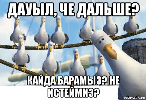 дауыл, че дальше? кайда барамыз? не истеймиз?
