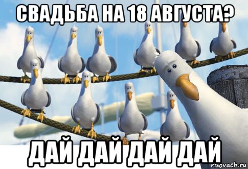 свадьба на 18 августа? дай дай дай дай