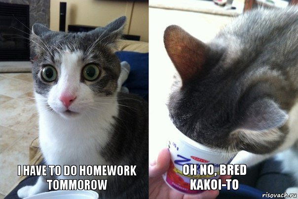 I have to do homework tommorow Oh no, bred kakoi-to, Комикс  Да не бред-какой-то (2 зоны)