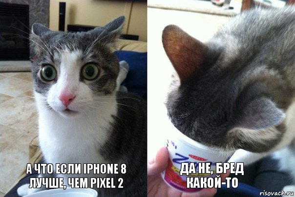 А что если iphone 8 лучше, чем pixel 2 Да не, бред какой-то, Комикс  Да не бред-какой-то (2 зоны)