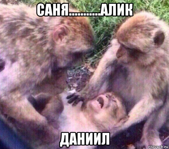 саня...........алик даниил