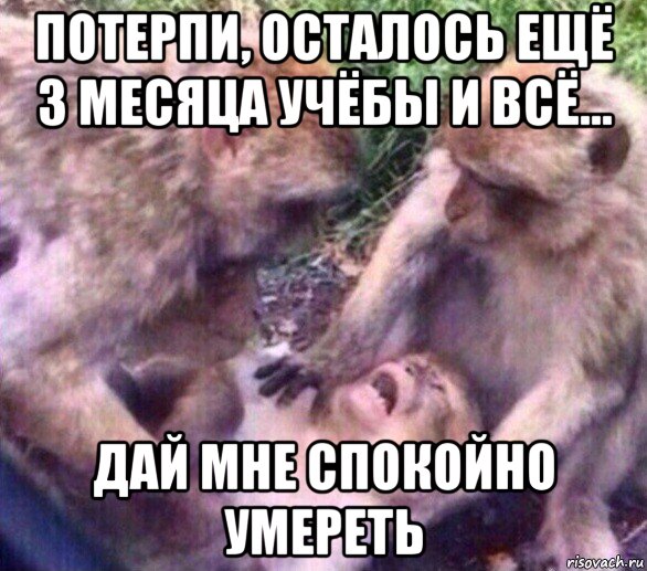 потерпи, осталось ещё 3 месяца учёбы и всё... дай мне спокойно умереть