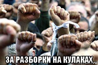  за разборки на кулаках, Мем Демократия петушится