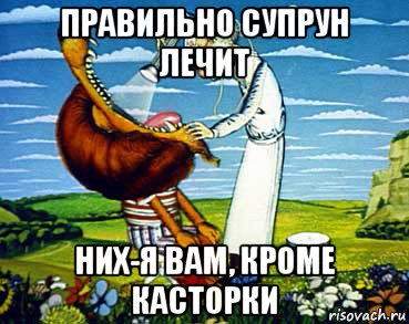 правильно супрун лечит них-я вам, кроме касторки, Мем Доктор айболит
