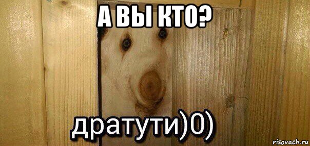 а вы кто? , Мем  Дратути