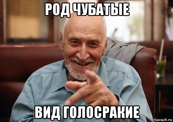 род чубатые вид голосракие