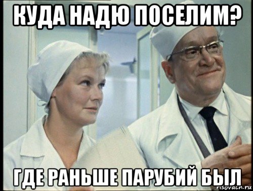 куда надю поселим? где раньше парубий был