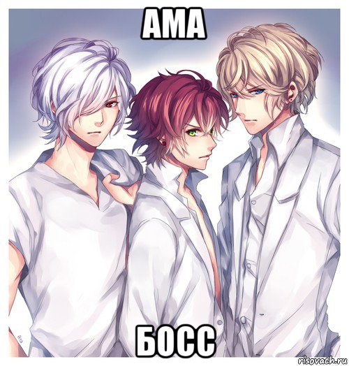 ама босс