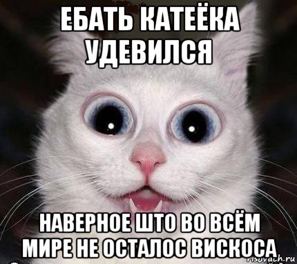 ебать катеёка удевился наверное што во всём мире не осталос вискоса, Мем ебать