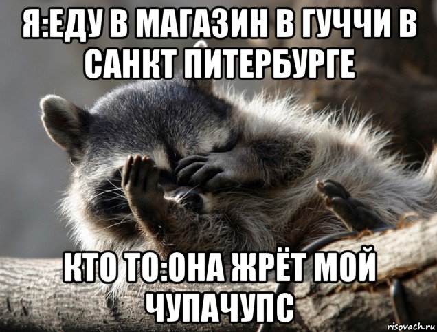 я:еду в магазин в гуччи в санкт питербурге кто то:она жрёт мой чупачупс, Мем Енот фейс спам