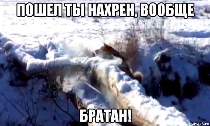 пошел ты нахрен, вообще братан!