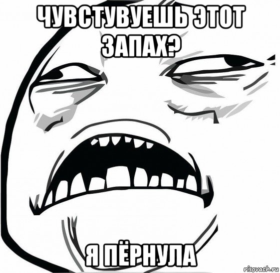 чувстувуешь этот запах? я пёрнула, Мем  Это неловкое чувство