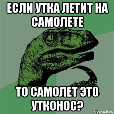 если утка летит на самолете то самолет это утконос?, Мем Филосораптор