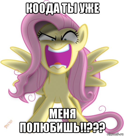 коода ты уже меня полюбишь!!???