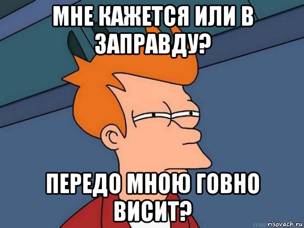 мне кажется или в заправду? передо мною говно висит?, Мем  Фрай (мне кажется или)