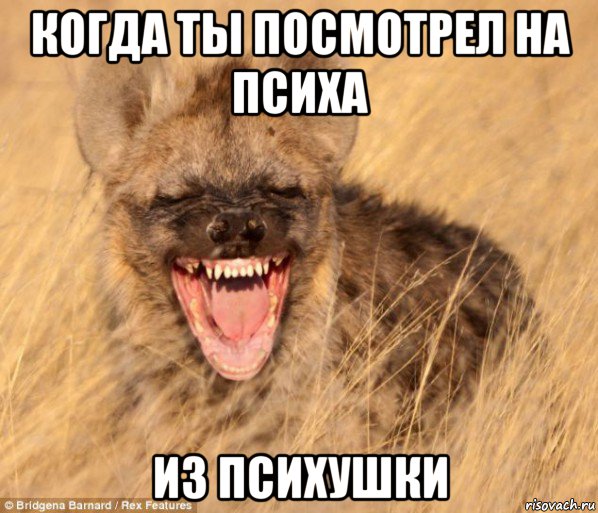 когда ты посмотрел на психа из психушки