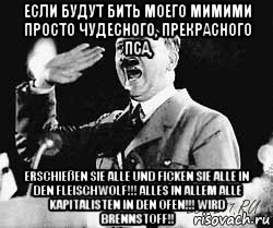 если будут бить моего мимими просто чудесного, прекрасного пса, erschießen sie alle und ficken sie alle in den fleischwolf!!! alles in allem alle kapitalisten in den ofen!!! wird brennstoff!!, Мем Гитлер