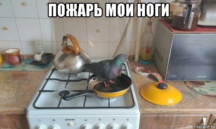 пожарь мои ноги 