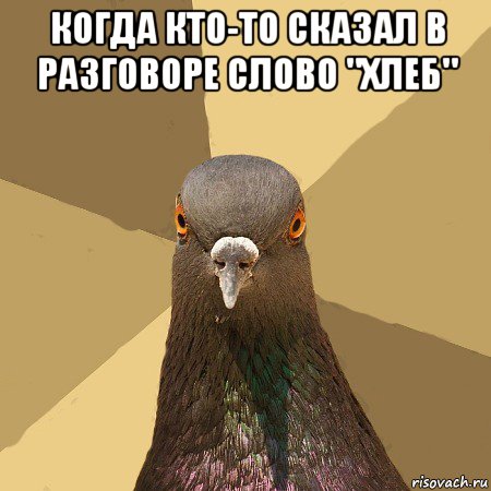 когда кто-то сказал в разговоре слово "хлеб" , Мем голубь