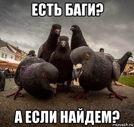 есть баги? а если найдем?
