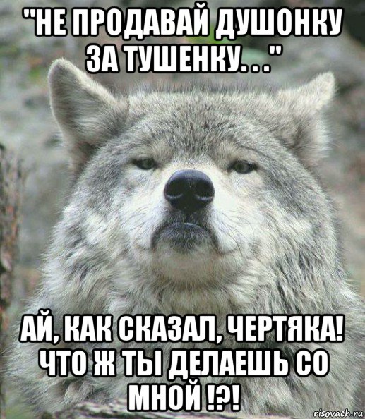 "не продавай душонку за тушенку. . ." ай, как сказал, чертяка! что ж ты делаешь со мной !?!, Мем    Гордый волк