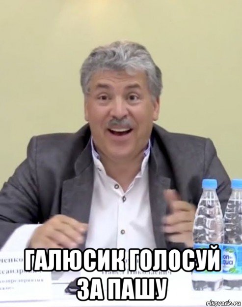  галюсик голосуй за пашу