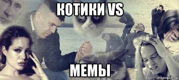 котики vs мемы