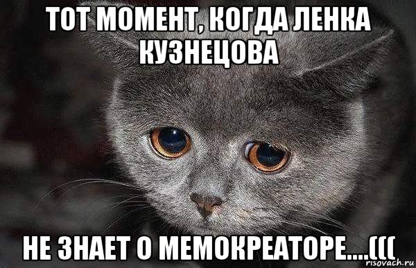тот момент, когда ленка кузнецова не знает о мемокреаторе....(((, Мем  Грустный кот