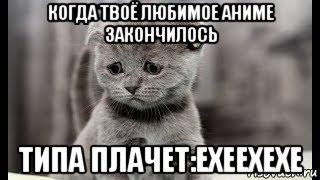когда твоё любимое аниме закончилось типа плачет:ехеехехе, Мем Грустный кот