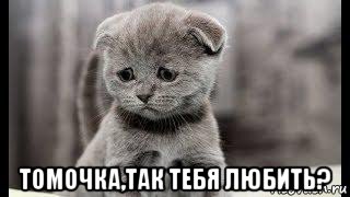  томочка,так тебя любить?, Мем Грустный кот