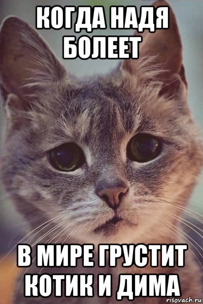 когда надя болеет в мире грустит котик и дима
