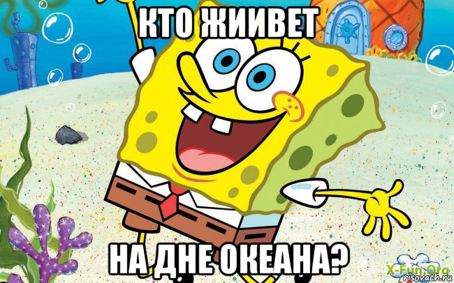 кто жиивет на дне океана?