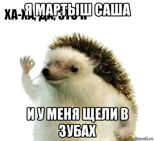 я мартыш саша и у меня щели в зубах, Мем Ха-ха да это я