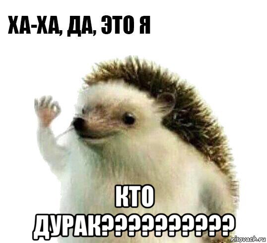  кто дурак??????????, Мем Ха-ха да это я