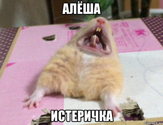 алёша истеричка