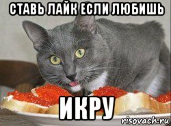 ставь лайк если любишь икру, Мем Икра 2018