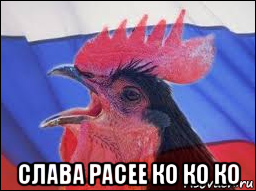  слава расее ко ко ко