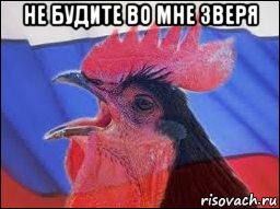 не будите во мне зверя 