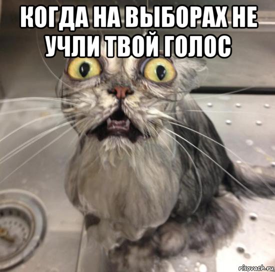 когда на выборах не учли твой голос , Мем К