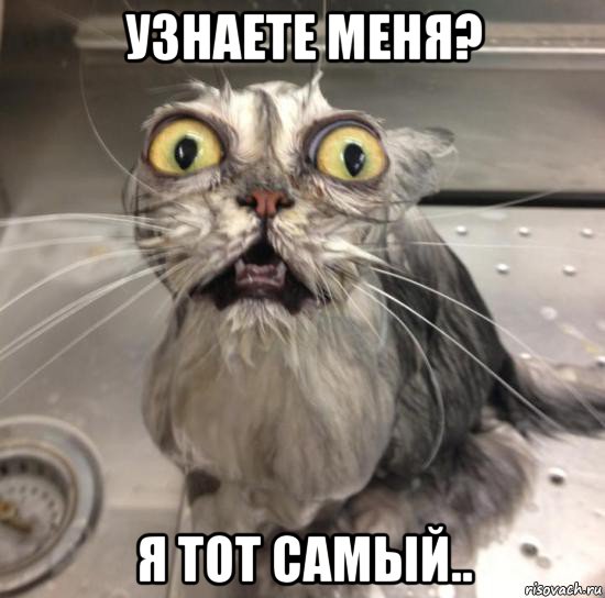 узнаете меня? я тот самый.., Мем К