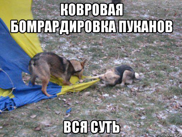 ковровая бомрардировка пуканов вся суть