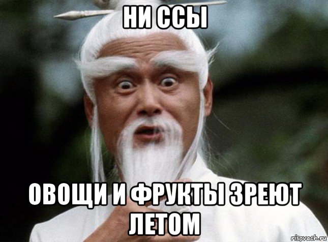 ни ссы овощи и фрукты зреют летом, Мем Китайский мудрец мудак