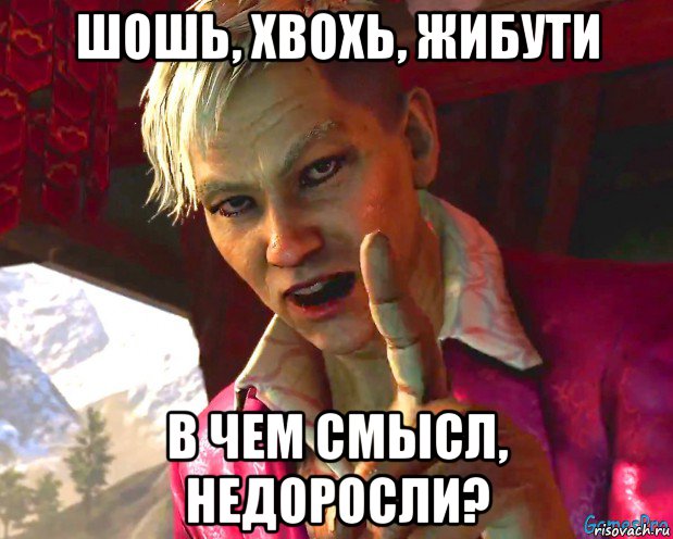 шошь, хвохь, жибути в чем смысл, недоросли?