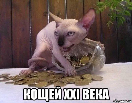 кощей xxi века, Мем Кощей XXI века
