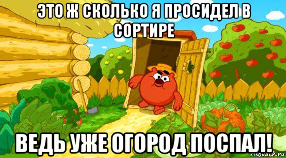это ж сколько я просидел в сортире ведь уже огород поспал!, Мем Копатыч выходит из туалета