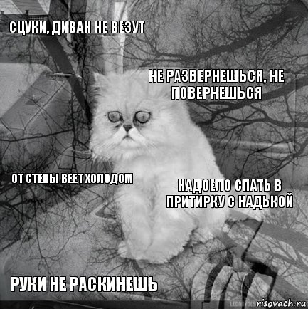 Сцуки, диван не везут Надоело спать в притирку с Надькой Не развернешься, не повернешься Руки не раскинешь От стены веет холодом     , Комикс  кот безысходность