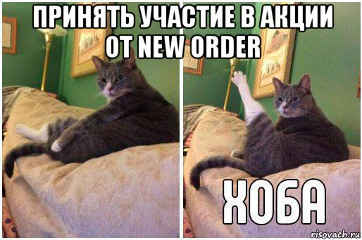 принять участие в акции от new order , Комикс Кот Хоба