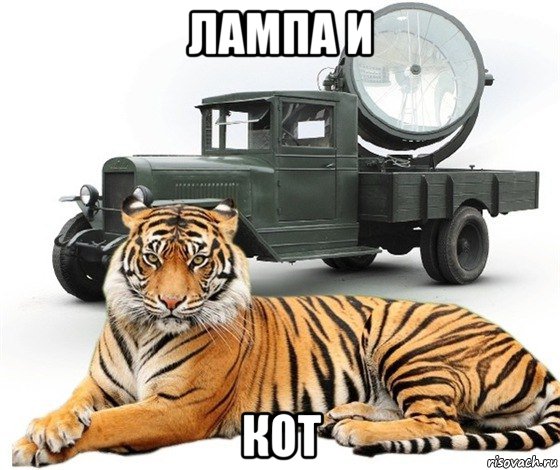 лампа и кот, Мем Кот и Лампа
